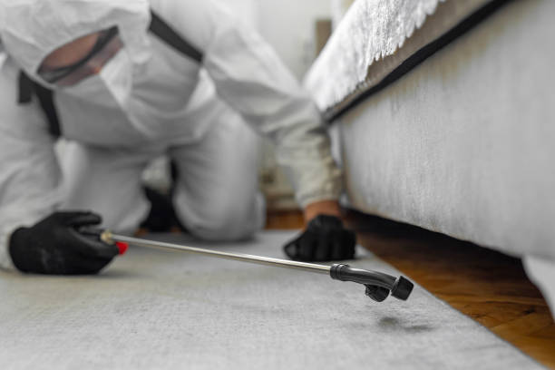 Professional Pest Control technician working in Arizona, AZ